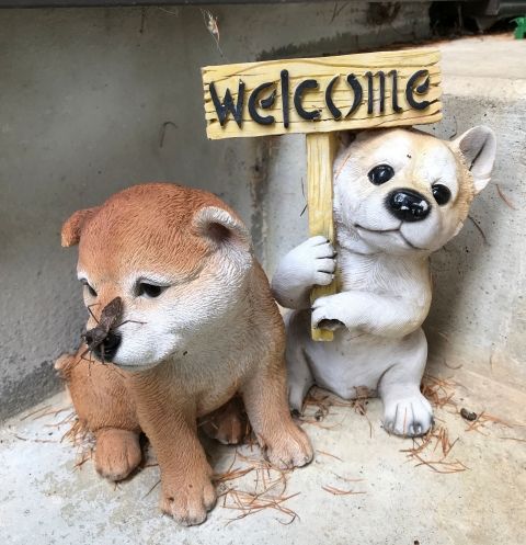 ぬいぐるみ写真ウェルカム